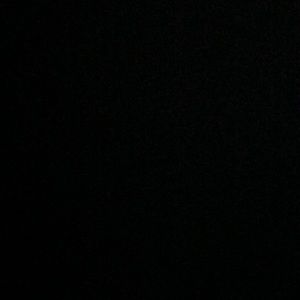 Meet your Posher, Daisy